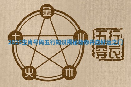 2025生肖号码五行知识揭秘助你开启好运之门