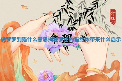 做梦梦到猫什么意思揭秘 梦中的猫给你带来什么启示 做梦梦到猫什么意思揭秘 梦中的猫给你带来什么启示
