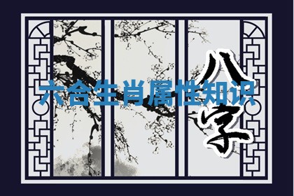 六合生肖属性知识 