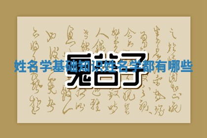 姓名学基础知识_姓名学都有哪些