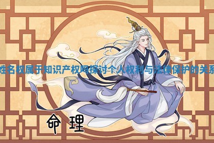 姓名权属于知识产权吗探讨个人权利与法律保护的关系