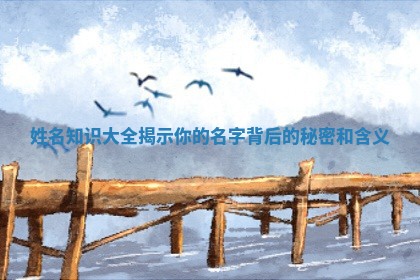 姓名知识大全揭示你的名字背后的秘密和含义
