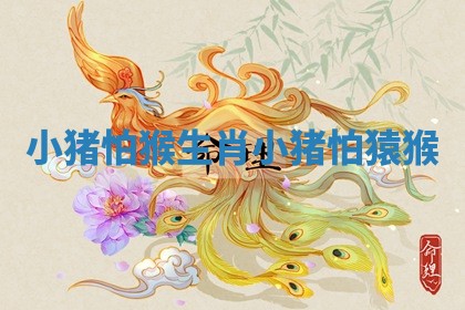 小猪怕猴生肖_小猪怕猿猴 小猪怕猴生肖_小猪怕猿猴