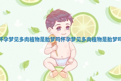 怀孕梦见多肉植物是胎梦吗 怀孕梦见多肉植物是胎梦吗