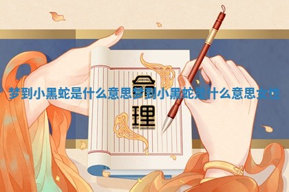 梦到小黑蛇是什么意思_梦到小黑蛇是什么意思女性