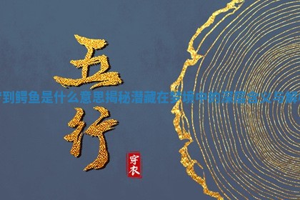 梦到鳄鱼是什么意思揭秘潜藏在梦境中的深层含义与解析