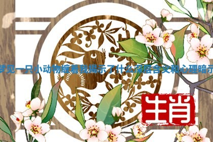 梦见一只小动物缠着我揭示了什么深层含义和心理暗示
