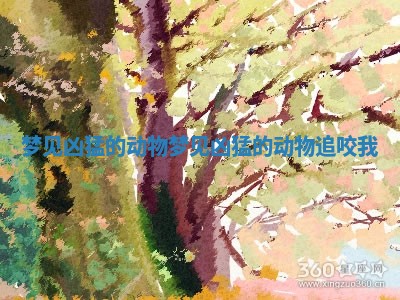 梦见凶猛的动物_梦见凶猛的动物追咬我