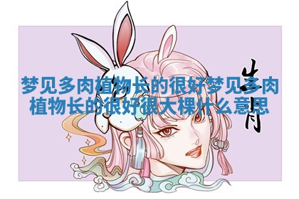 梦见多肉植物长的很好 梦见多肉植物长的很好很大棵什么意思 梦见多肉植物长的很好 梦见多肉植物长的很好很大棵什么意思