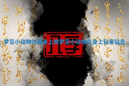 梦见小动物往我身上爬_梦见小动物在身上钻来钻去