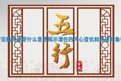 梦见植物发芽什么意思揭示潜在的内心变化和希望的象征