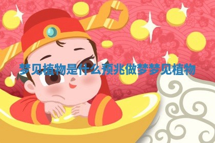 梦见植物是什么预兆_做梦梦见植物