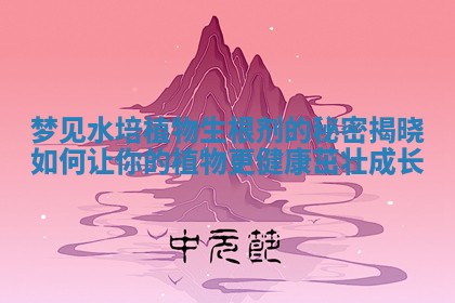 梦见水培植物生根剂的秘密揭晓 如何让你的植物更健康茁壮成长