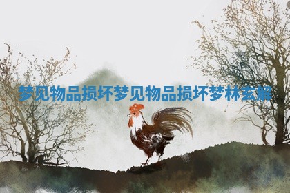 梦见物品损坏_梦见物品损坏梦林玄解 梦见物品损坏_梦见物品损坏梦林玄解