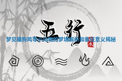 梦见猫狗鸡等小动物的梦境解析和象征意义揭秘