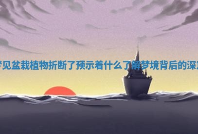 梦见盆栽植物折断了预示着什么了解梦境背后的深意