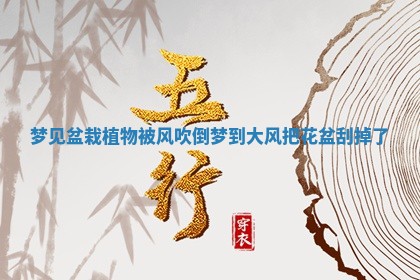 梦见盆栽植物被风吹倒_梦到大风把花盆刮掉了 梦见盆栽植物被风吹倒_梦到大风把花盆刮掉了