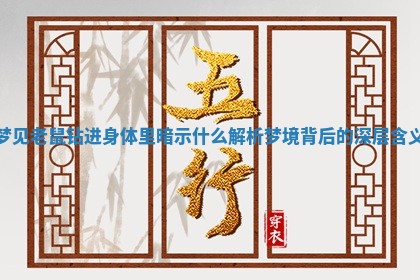 梦见老鼠钻进身体里暗示什么 解析梦境背后的深层含义 梦见老鼠钻进身体里暗示什么 解析梦境背后的深层含义