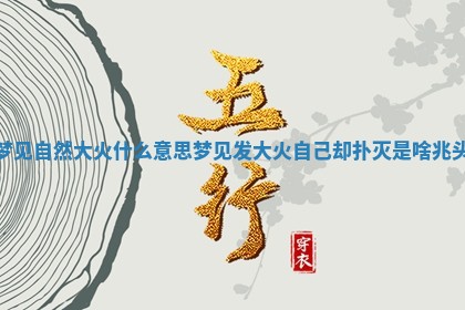 梦见自然大火什么意思_梦见发大火自己却扑灭是啥兆头 梦见自然大火什么意思_梦见发大火自己却扑灭是啥兆头