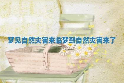 梦见自然灾害来临 梦到自然灾害来了