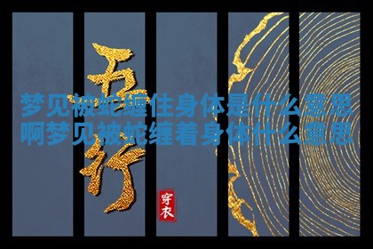 梦见被蛇缠住身体是什么意思啊 梦见被蛇缠着身体什么意思 梦见被蛇缠住身体是什么意思啊 梦见被蛇缠着身体什么意思