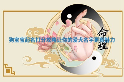 狗宝宝起名打分攻略 让你的爱犬名字更有魅力