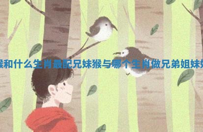 猴和什么生肖最配兄妹 猴与哪个生肖做兄弟姐妹好 猴和什么生肖最配兄妹 猴与哪个生肖做兄弟姐妹好