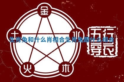 生肖兔和什么肖相合_生肖兔跟什么相合