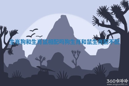 生肖狗和生肖鼠相配吗_狗生肖和鼠生肖配不配 生肖狗和生肖鼠相配吗_狗生肖和鼠生肖配不配