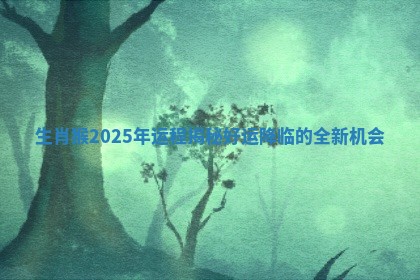 生肖猴2025年运程揭秘好运降临的全新机会