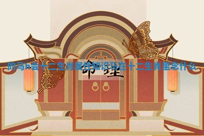 的马h会十二生肖属性知识_马在十二生肖里念什么 的马h会十二生肖属性知识_马在十二生肖里念什么