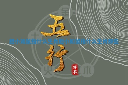 胆小如鼠指什么生肖 胆小如鼠指什么生肖那些