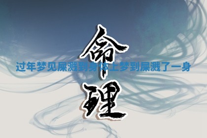 过年梦见屎溅到身体上_梦到屎溅了一身