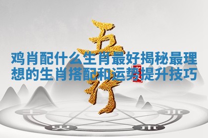 鸡肖配什么生肖最好揭秘最理想的生肖搭配和运势提升技巧