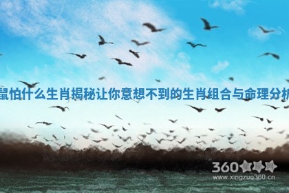 鼠怕什么生肖揭秘让你意想不到的生肖组合与命理分析